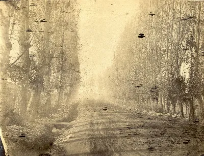 [Camino en Chile]
