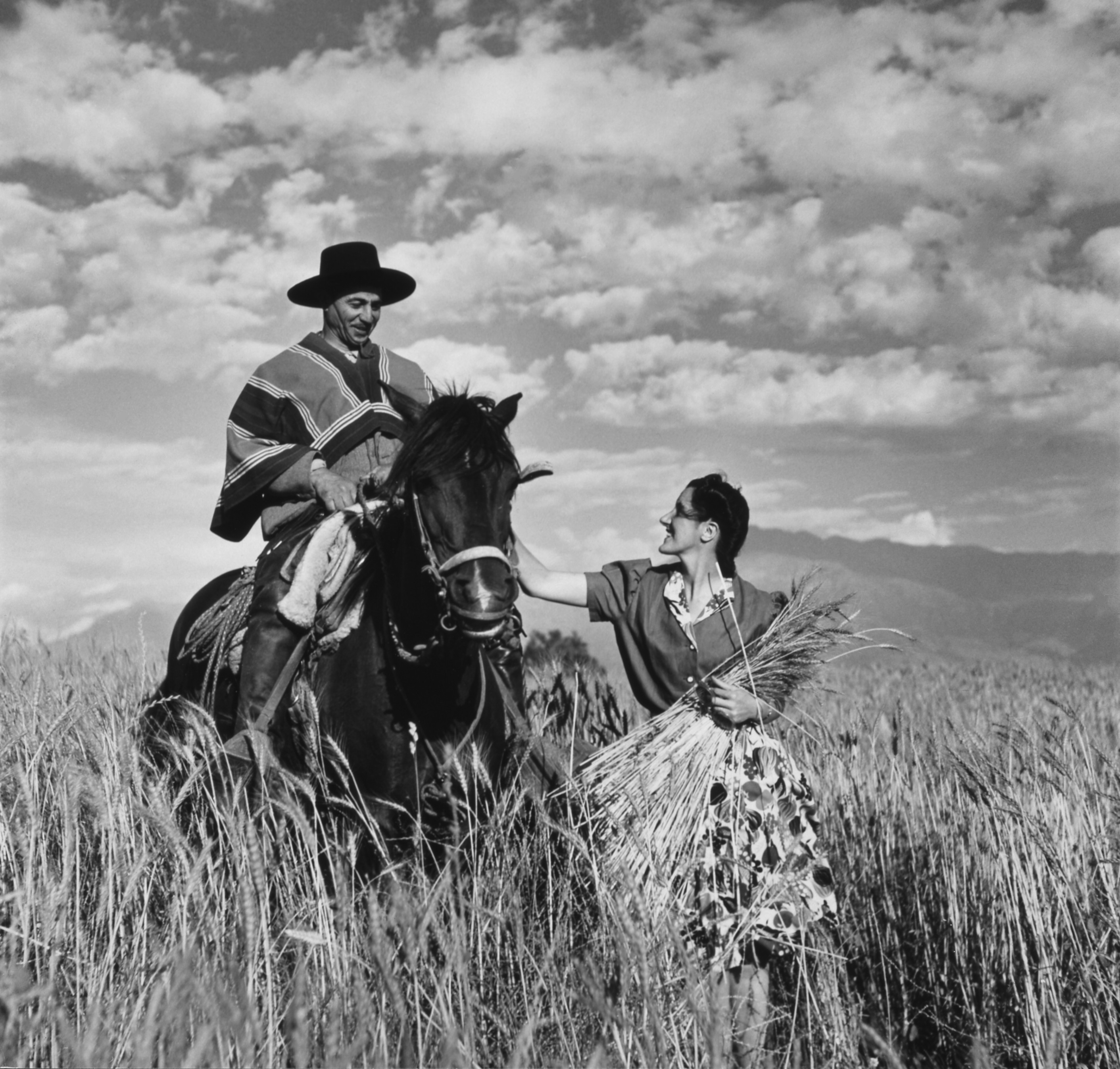Gauchowheat2 — 1940 | Chile de Ayer