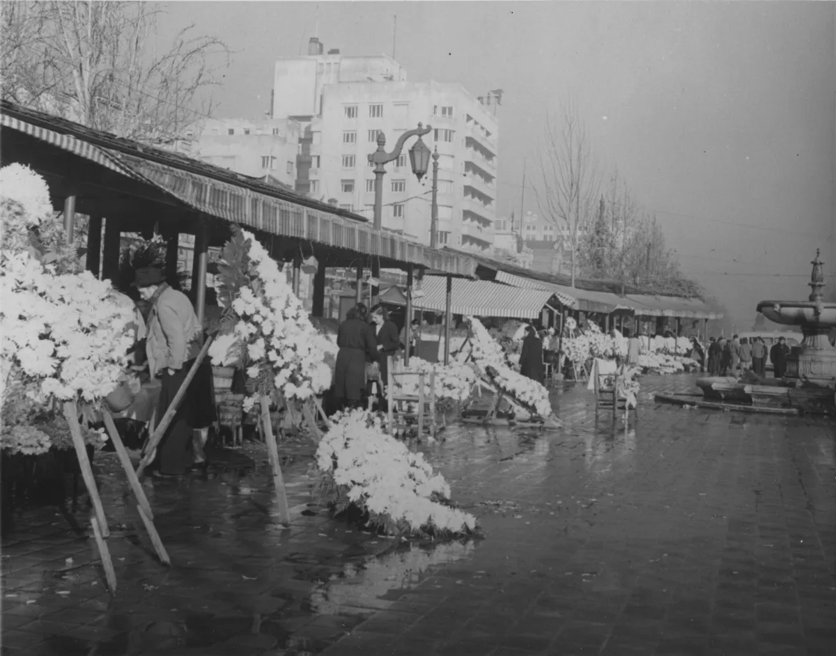 43-2549 - Flower market on Avenida O'Higgins, Santiago. Elaborate formal floral pieces on easels. — Santiago — 1941 | Chile de Ayer