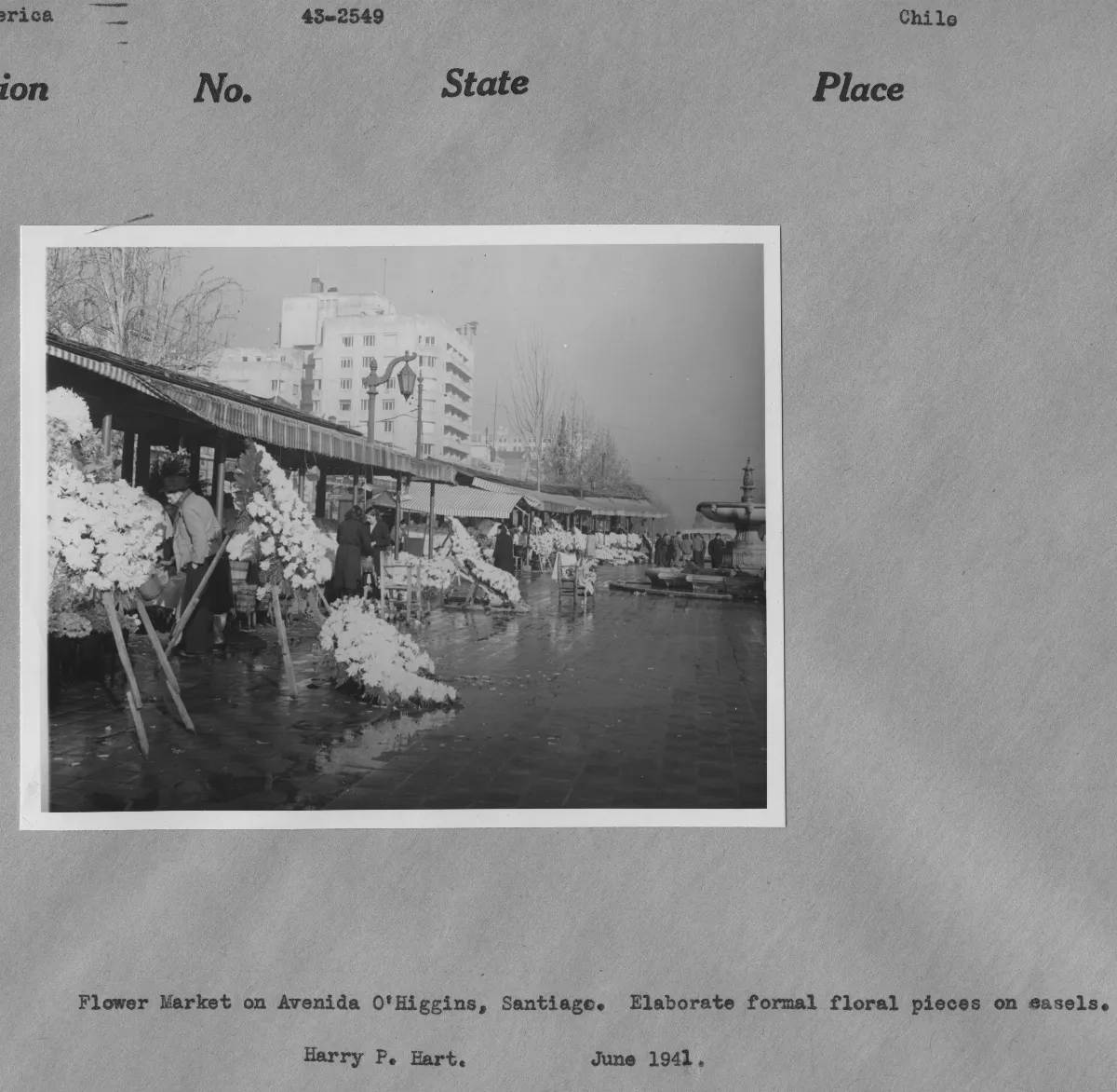 43-2549 - Flower market on Avenida O'Higgins, Santiago. Elaborate formal floral pieces on easels. — Santiago — 1941 | Chile de Ayer