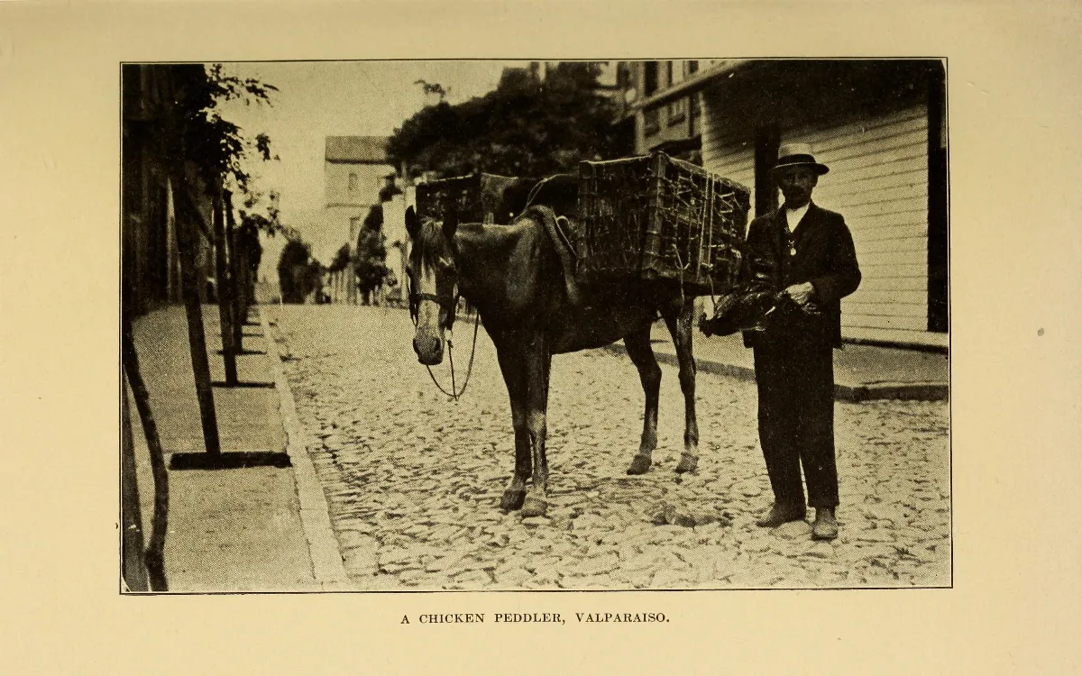 A chicken peddler, Valparaíso — 1912 | Chile de Ayer