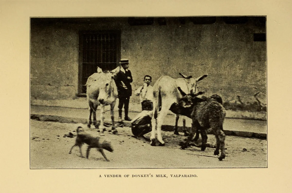 A vender of donkey´s milk, Valparaíso — 1912 | Chile de Ayer