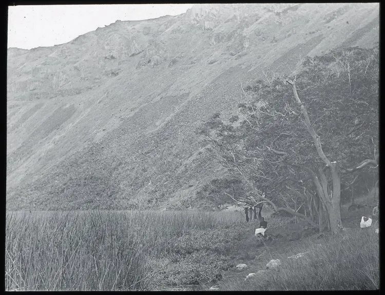 Oc,G.T.1485, Mana Expedition to Easter Island, British Museum — Isla de Pascua — 1914 | Chile de Ayer