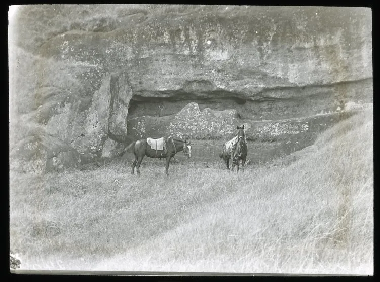 Two horses next to unfinished moai, Rano Raraku, Oc,G.T.1646, Mana Expedition to Easter Island, British Museum — Isla de Pascua — 1914 | Chile de Ayer