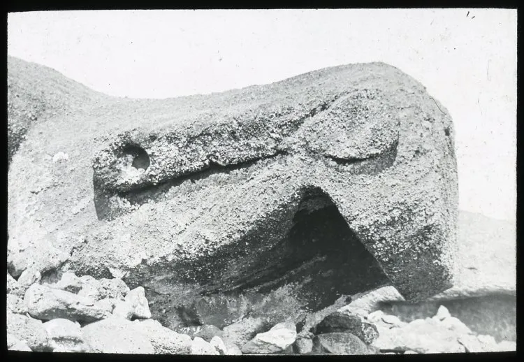 View of a moai head facing face down on the ground; Ahu Tongariki, Oc,G.T.1489, Mana Expedition to Easter Island, British Museum — Isla de Pascua — 1914 | Chile de Ayer