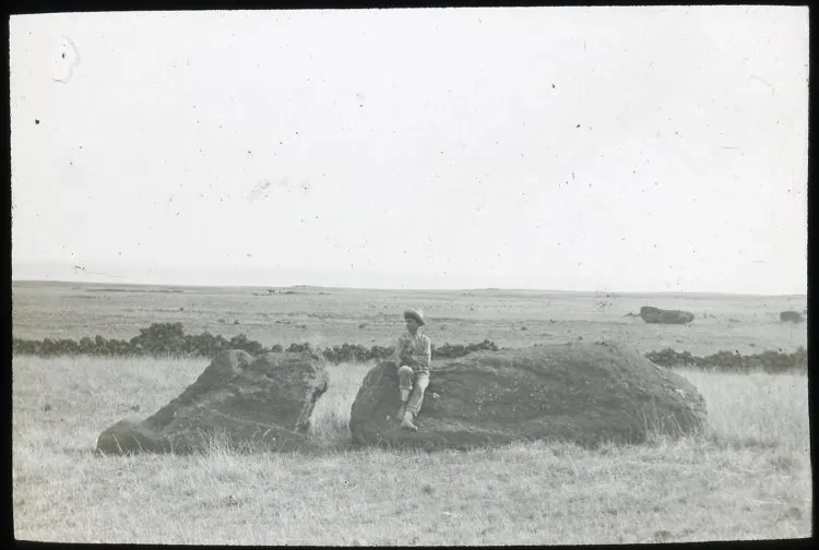 View of a moai lying on the ground; a man is standing on the left of the sculpture for scale, with his left hand touching the stone; outside Rano Raraku, Oc,G.T.1464, Mana Expedition to Easter Island, British Museum — Isla de Pascua — 1914 | Chile de Ayer