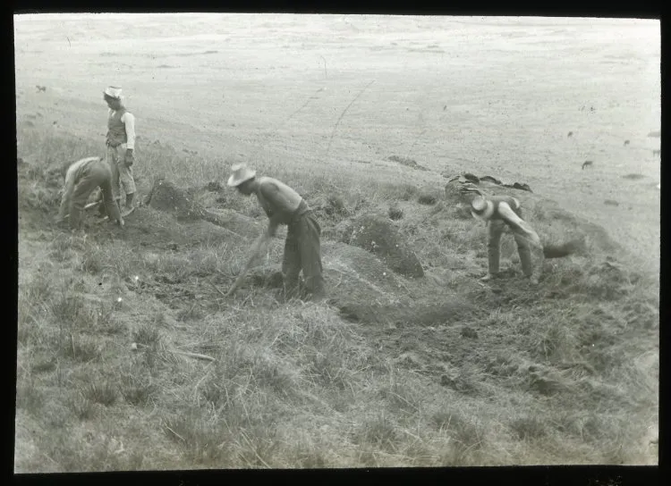 View of three men digging using pick axes to excavate two moai, with one boy watching; Rano Raraku, Oc,G.T.1462, Mana Expedition to Easter Island, British Museum — Isla de Pascua — 1914 | Chile de Ayer