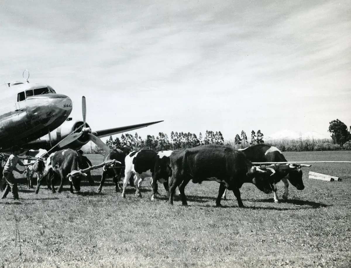 RG18-AG--3933 — 1944 | Chile de Ayer