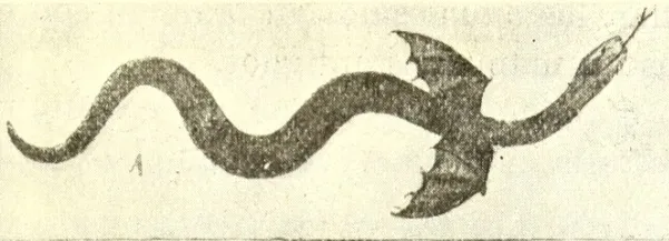 Guevara(1908)-Psicolojía-p323-Fig42.1-Pihuicheñ — Temuco — 1908 | Chile de Ayer