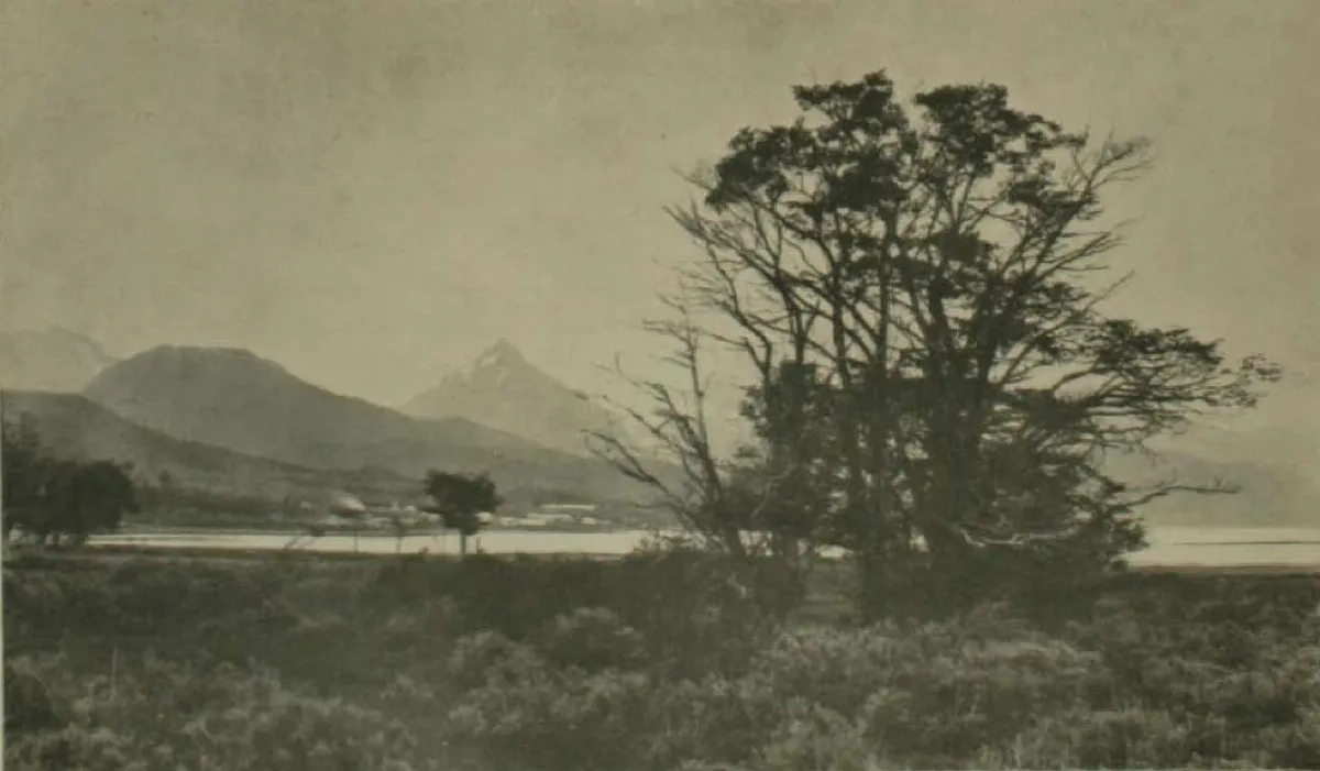 Los Shelknam (page 227 crop) — Tierra del Fuego — 1915 | Chile de Ayer