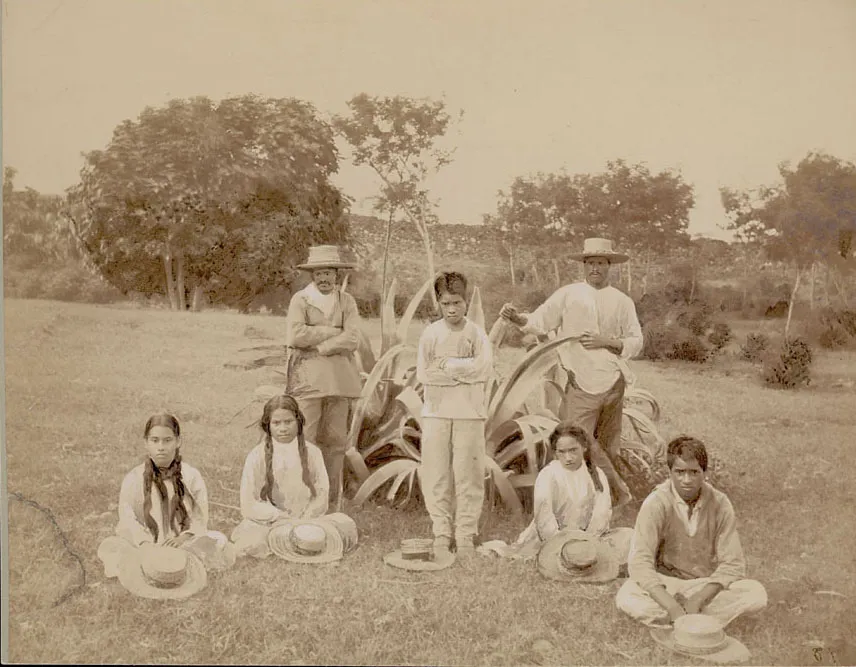 Group in Costume Near Century Plant December 1886 — Isla de Pascua — 1886 | Chile de Ayer