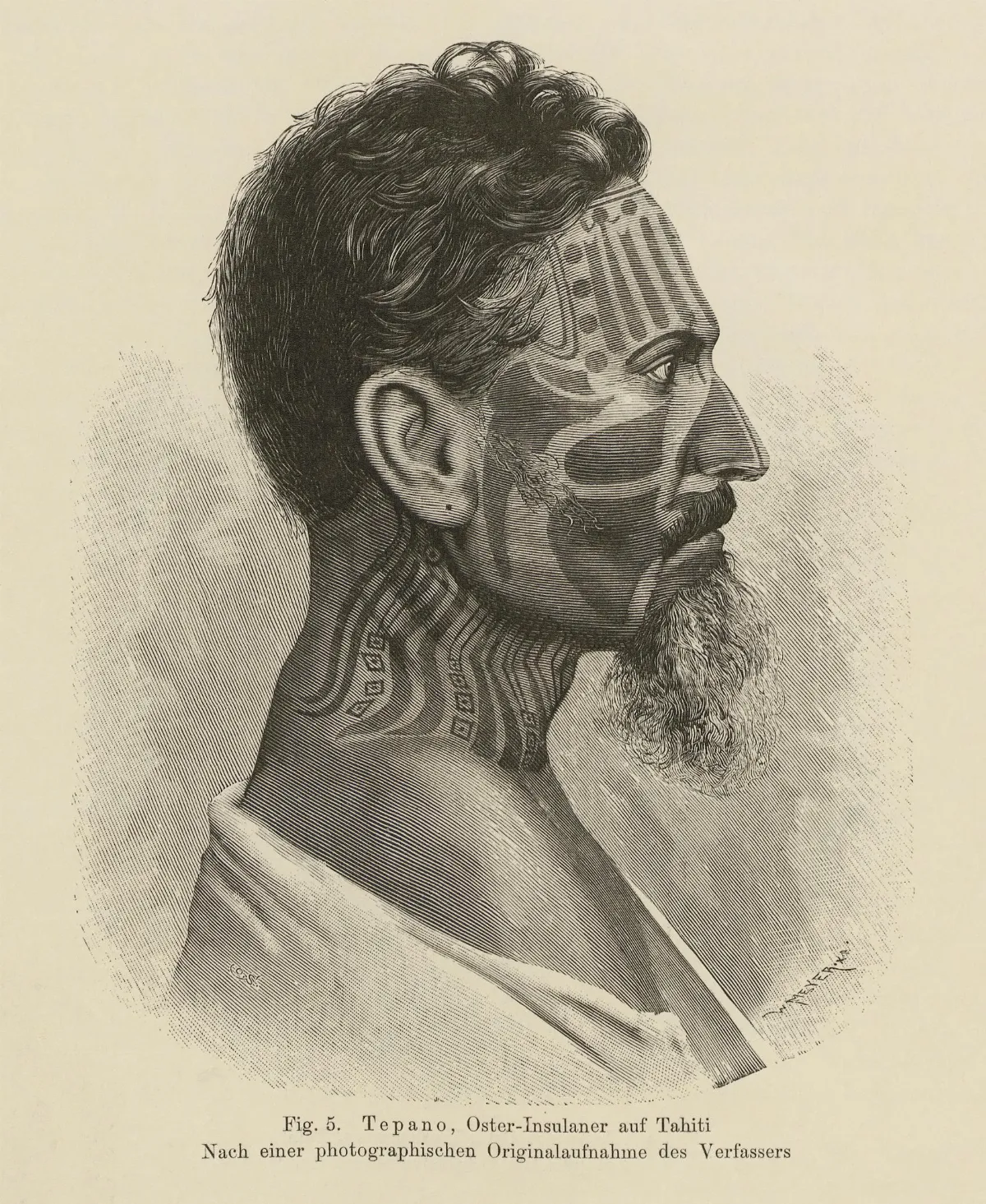 Tepano, Oster-Insulaners auf Tahiti. Nach einer photographischen Originalaufnahme des Verfassers. Fig. 5. Über die Tätowirung der Oster-Insulaner — Isla de Pascua — 1880 | Chile de Ayer
