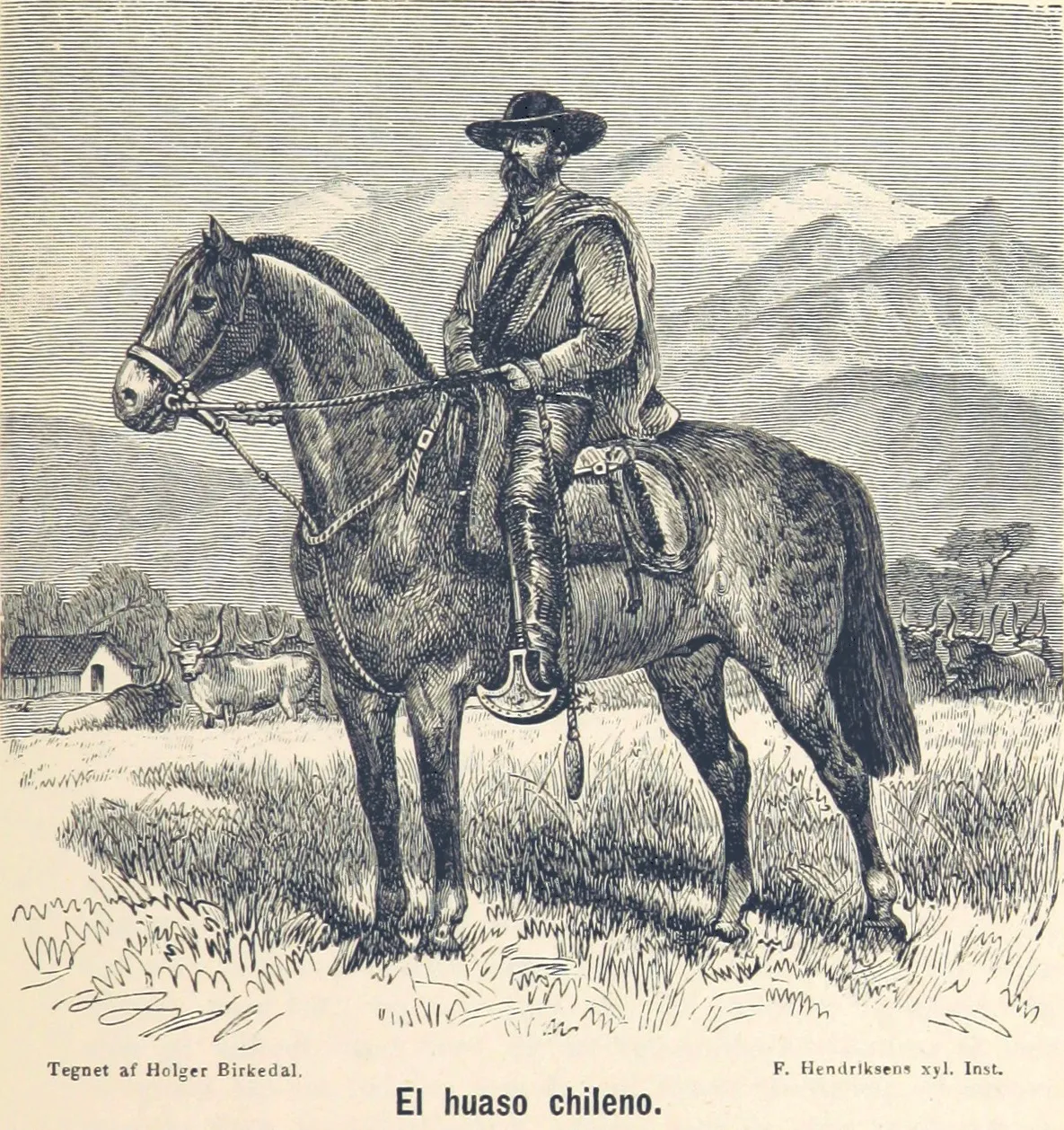 El Huaso Chileno (1884) — 1884 | Chile de Ayer