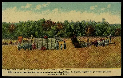 International Harvester Company, Chili, 1910 - Advertising Postcard (4710388648) — 1910 | Chile de Ayer