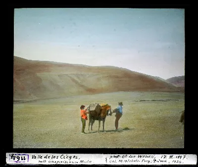 Valle de los Ciegos, mit ausgerissenem Mula — 1897 | Chile de Ayer