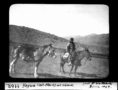 Yegua (Leit-Pferd) mit Häberli — 1897 | Chile de Ayer