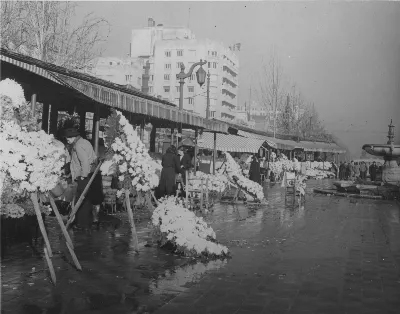 43-2549 - Flower market on Avenida O'Higgins, Santiago. Elaborate formal floral pieces on easels. — Santiago — 1941 | Chile de Ayer