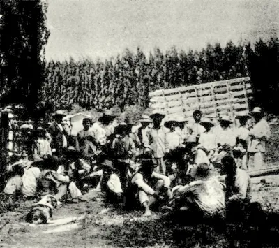 Almuerzo de la peonada Fundo Timmermann 1903 — 1903 | Chile de Ayer