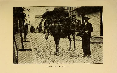 A chicken peddler, Valparaíso — 1912 | Chile de Ayer