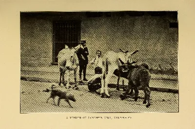 A vender of donkey´s milk, Valparaíso — 1912 | Chile de Ayer