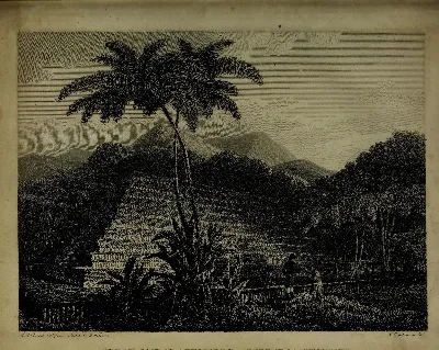 Great Morai of Temarre at Pappara in Otaheite — Isla de Pascua — 1799 | Chile de Ayer