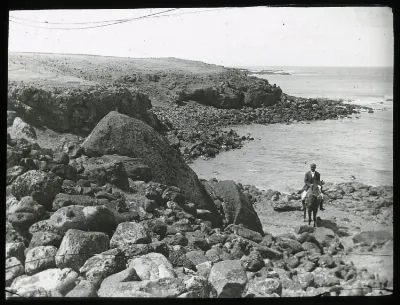 Landscape view, beside the coast, with a moai fallen on its back, towards the sea, and a man sitting on a horse for scale; Ahu Tetenga, Oc,G.T.1498, Mana Expedition to Easter Island, British Museum — Isla de Pascua — 1914 | Chile de Ayer