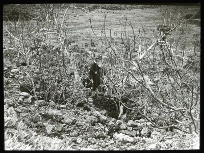 Oc,G.T.1547, Mana Expedition to Easter Island, British Museum — Isla de Pascua — 1914 | Chile de Ayer