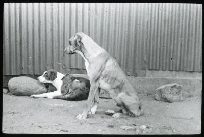 Oc,G.T.1588, Mana Expedition to Easter Island, British Museum — Isla de Pascua — 1914 | Chile de Ayer
