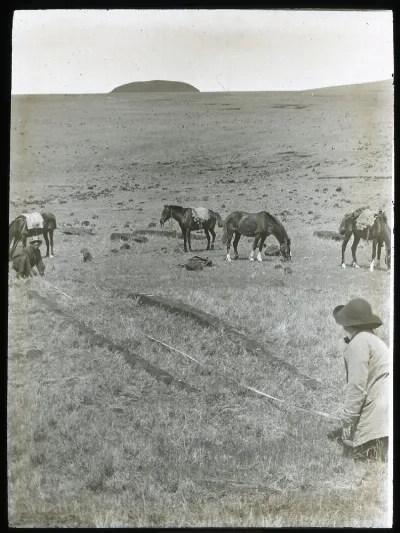Two Polynesian(?) men kneeling on the ground, measuring the length of the foundations of a hare paenga; four horses grazing in the background; slopes of Poike visible in background; Oc,G.T.1637, Mana Expedition to Easter Island, British Museum — Isla de Pascua — 1914 | Chile de Ayer