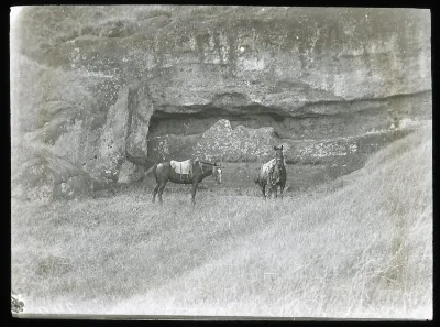 Two horses next to unfinished moai, Rano Raraku, Oc,G.T.1646, Mana Expedition to Easter Island, British Museum — Isla de Pascua — 1914 | Chile de Ayer
