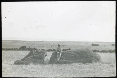 View of a moai lying on the ground; a man is standing on the left of the sculpture for scale, with his left hand touching the stone; outside Rano Raraku, Oc,G.T.1464, Mana Expedition to Easter Island, British Museum — Isla de Pascua — 1914 | Chile de Ayer