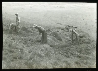 View of three men digging using pick axes to excavate two moai, with one boy watching; Rano Raraku, Oc,G.T.1462, Mana Expedition to Easter Island, British Museum — Isla de Pascua — 1914 | Chile de Ayer