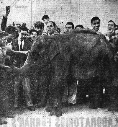 Llegada de Fresia a Santiago, 28 marzo 1951