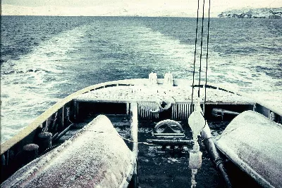 Rescate Antártica9