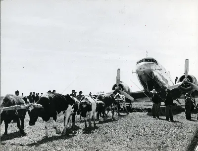 RG18-AG--3943