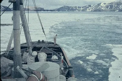 Bahía Foster1