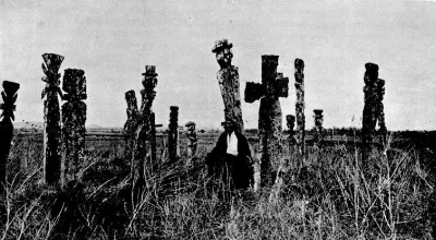 Cementerio Mapuche 1903
