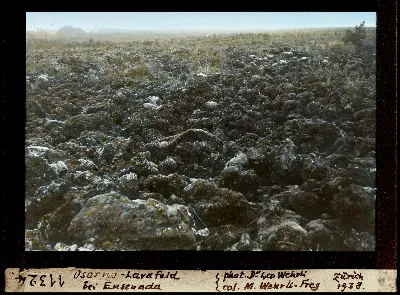 Osorno Lavafeld bei Ensenada