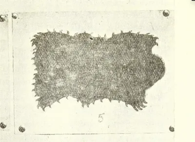 Guevara(1908)-Psicolojía-p323-Fig42.5-Trelquehuecufe — Temuco — 1908 | Chile de Ayer