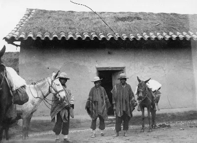 Aymaraindianer håller exp. sadlade mulåsnor. Fotograf Nordenskiöld, Erland. Sydamerika. Bolivia - SMVK - 002398