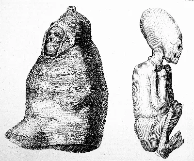 Historia de la conquista del Perú, 1851 "Momias de los antiguos Aymaras". (3971677332)