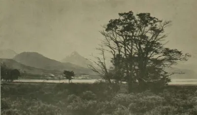 Los Shelknam (page 227 crop) — Tierra del Fuego — 1915 | Chile de Ayer