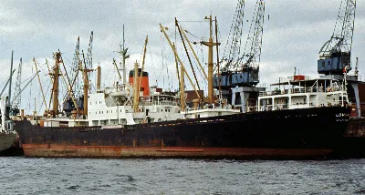 Longavi IMO 5151323 G Hamburg 05-1975