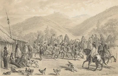 Palin mapuche