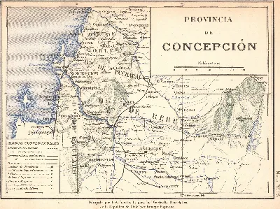 Concepción