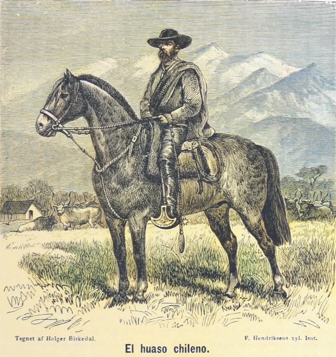 El Huaso Chileno (1884) — 1884 | Chile de Ayer