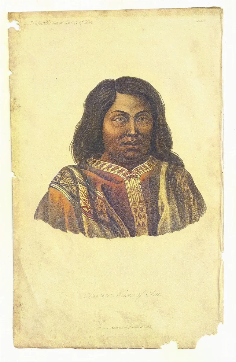 Araucano, Native of Chile (1848) — Temuco — 1848 | Chile de Ayer
