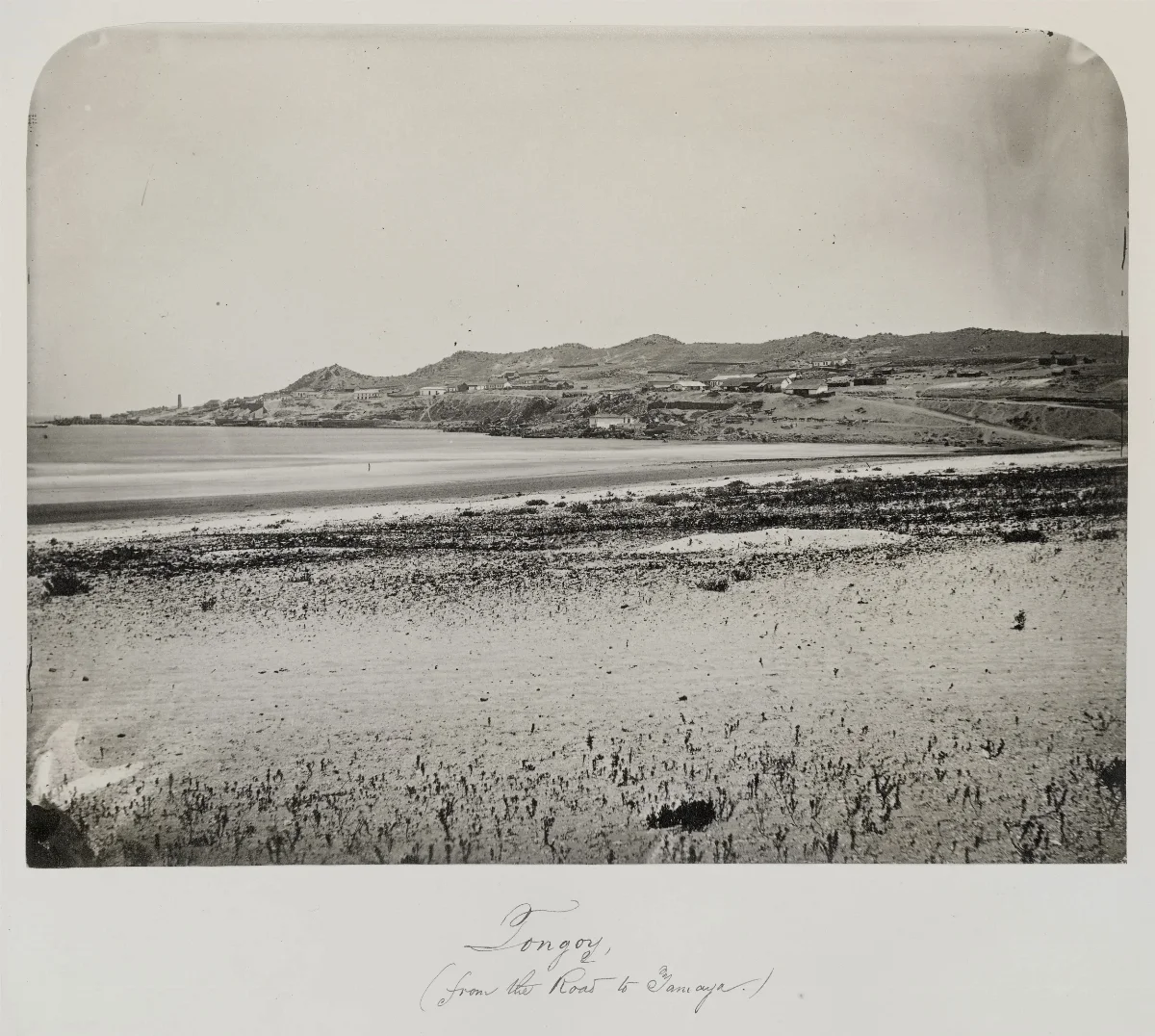 Tongoy, desde el camino a Tamaya, 1860 — 1860 | Chile de Ayer
