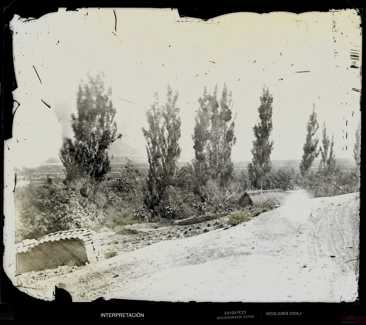 [Camino en Santiago de Chile] — 1863 | Chile de Ayer