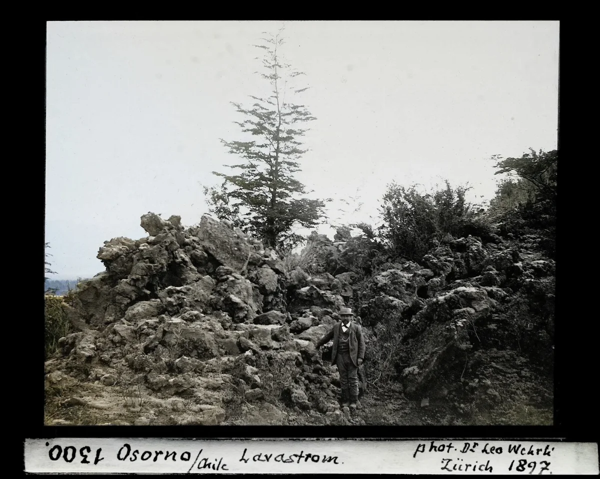 Rocas, plantas y un hombre, Chile, 1897 — aprox. 1897 | Chile de Ayer